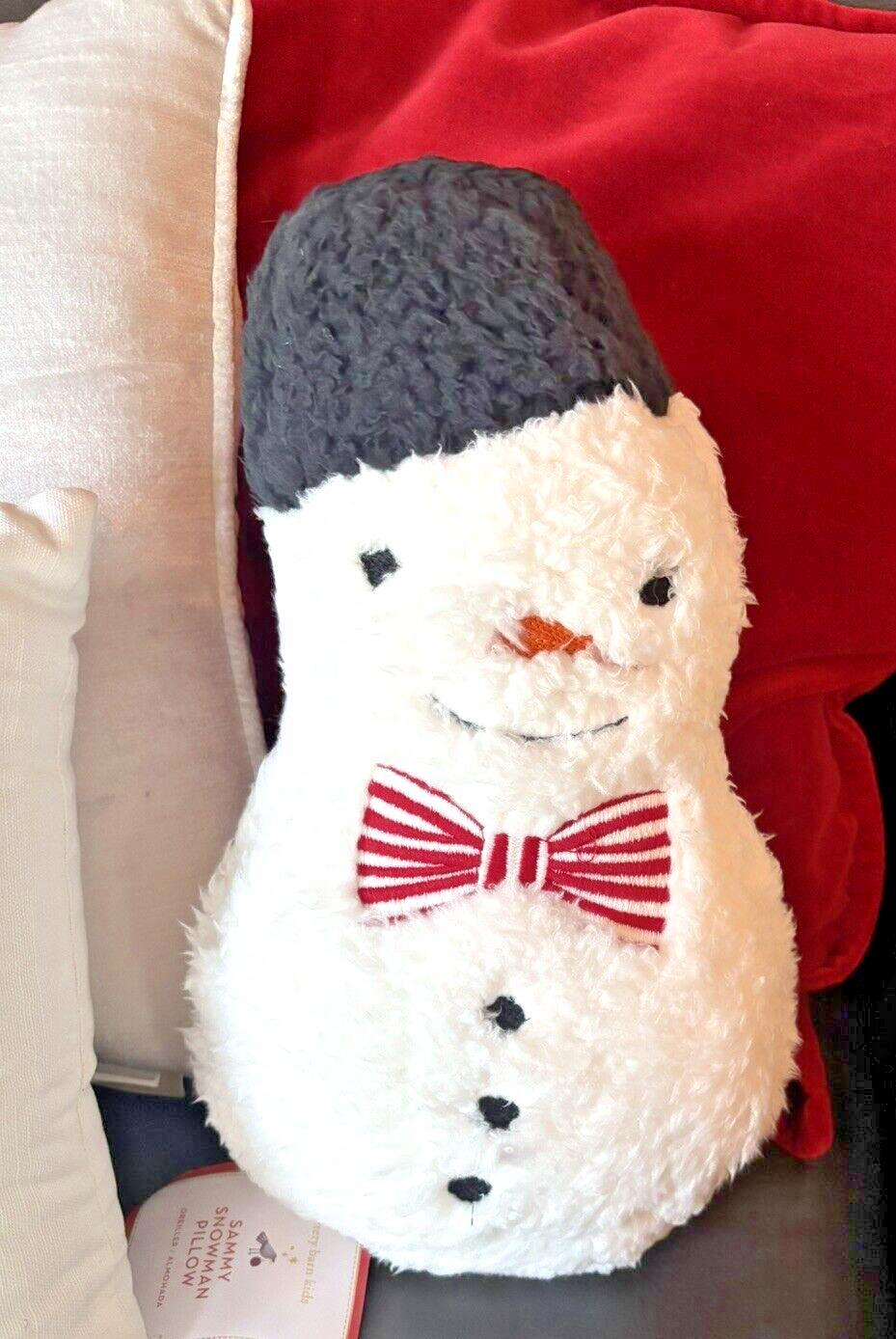 Pottery Barn Snowman Christmas pillow Seuss Holiday Gift party Disney Sherpa 1