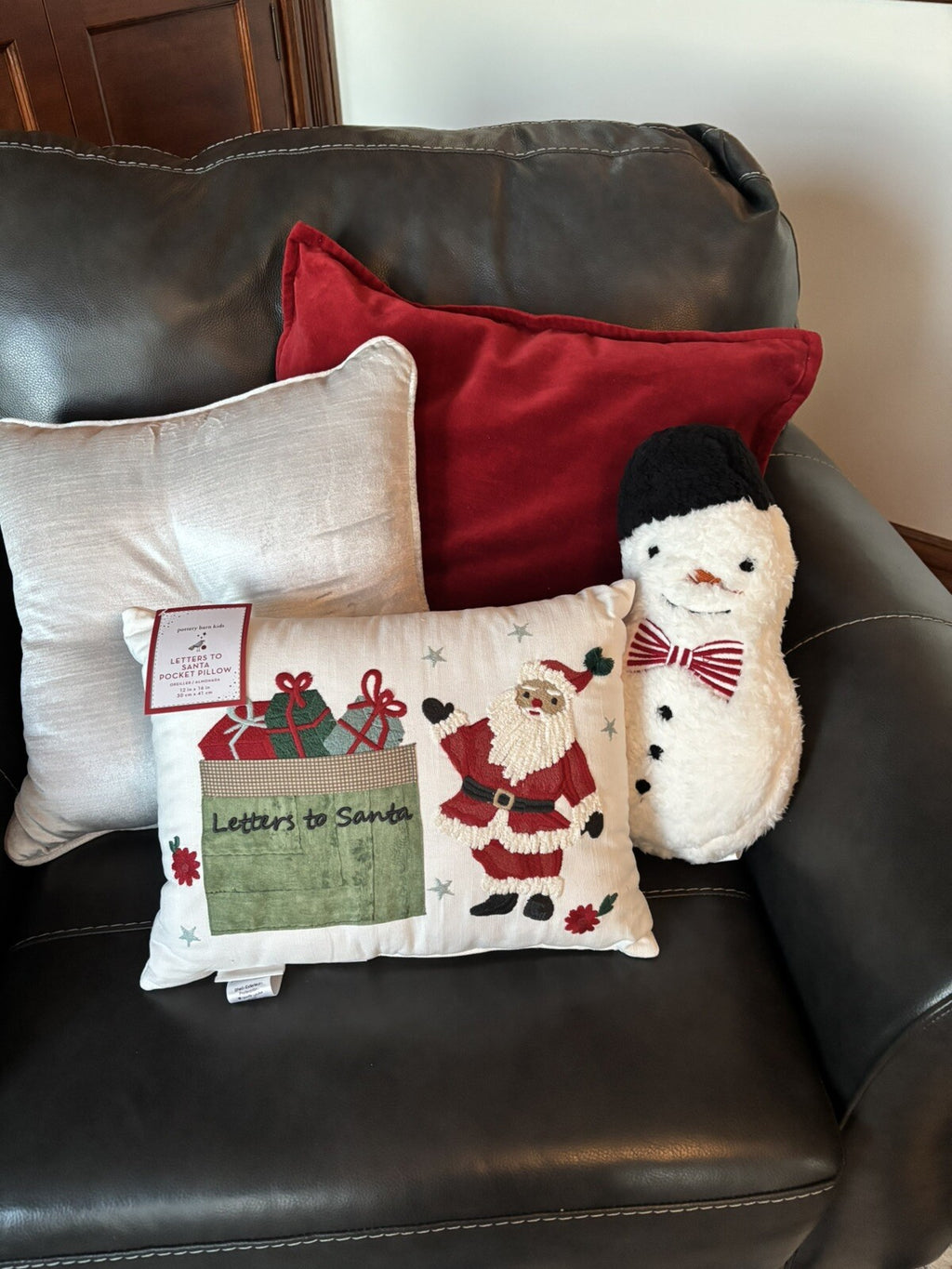 Pottery Barn Snowman Christmas pillow Seuss Holiday Gift party Disney Sherpa 1