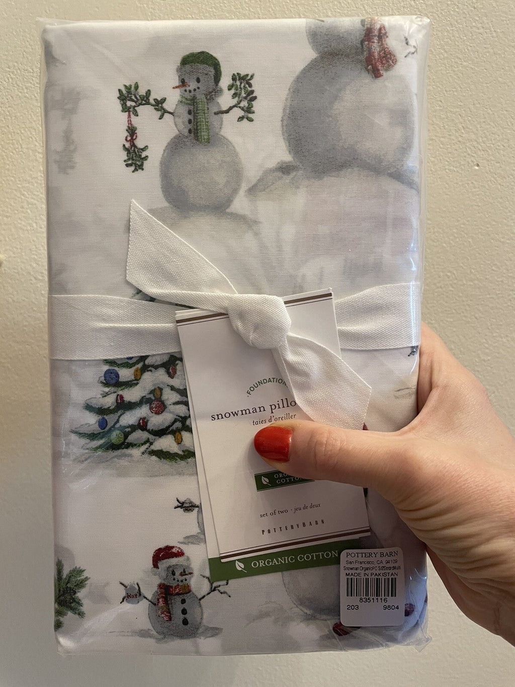 Pottery Barn Christmas Snowman village holiday country santa pillowcase SET 2