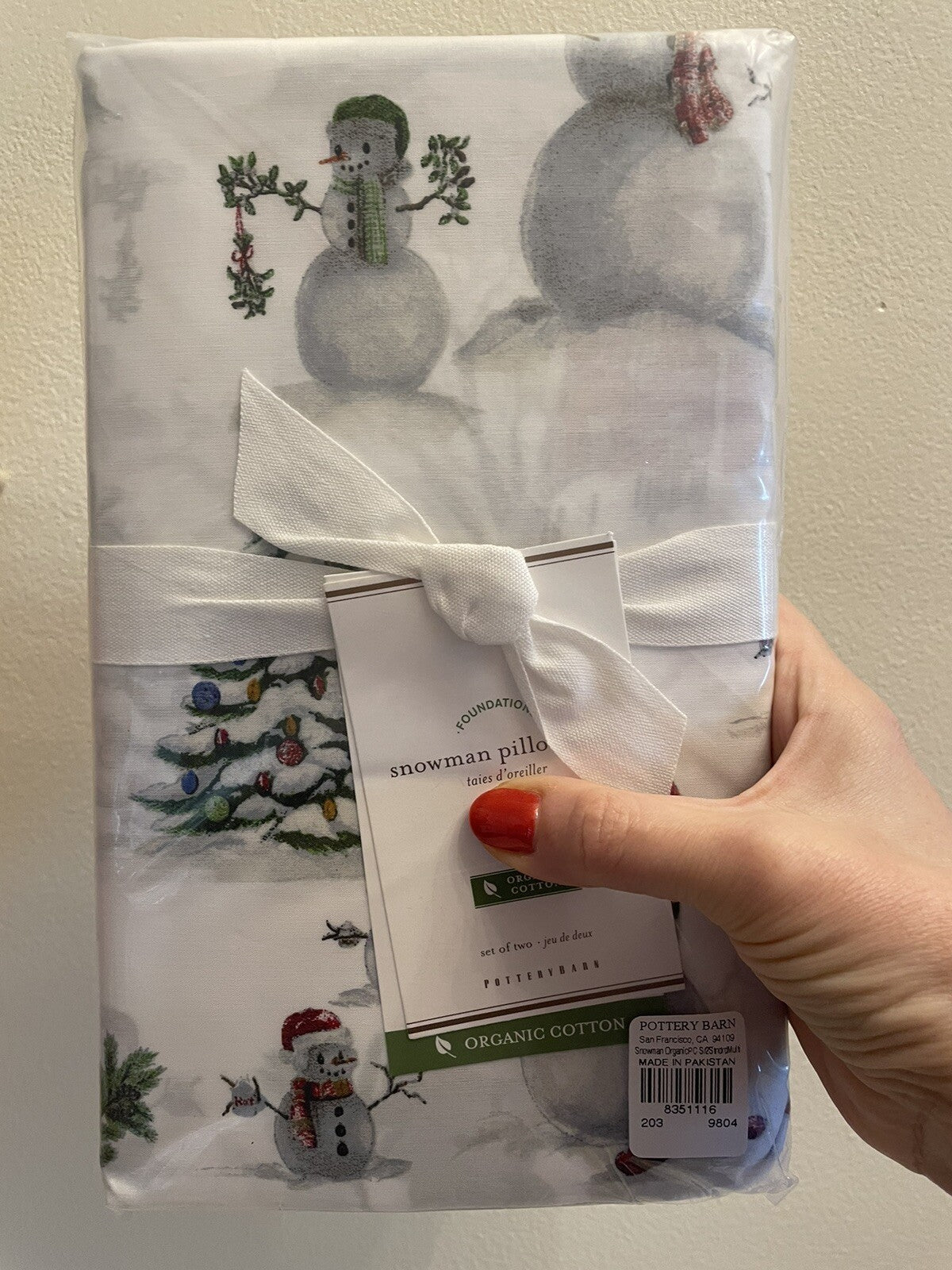 Pottery Barn Christmas Snowman village holiday country santa pillowcase SET 2