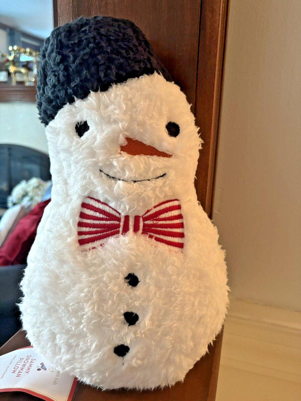 Pottery Barn Snowman Christmas pillow Seuss Holiday Gift party Disney Sherpa 1