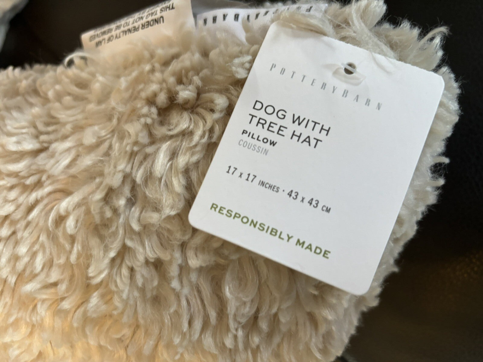 Pottery Barn Disney Holiday pillow gift party Dog Birthday teen plaid lab dorm -