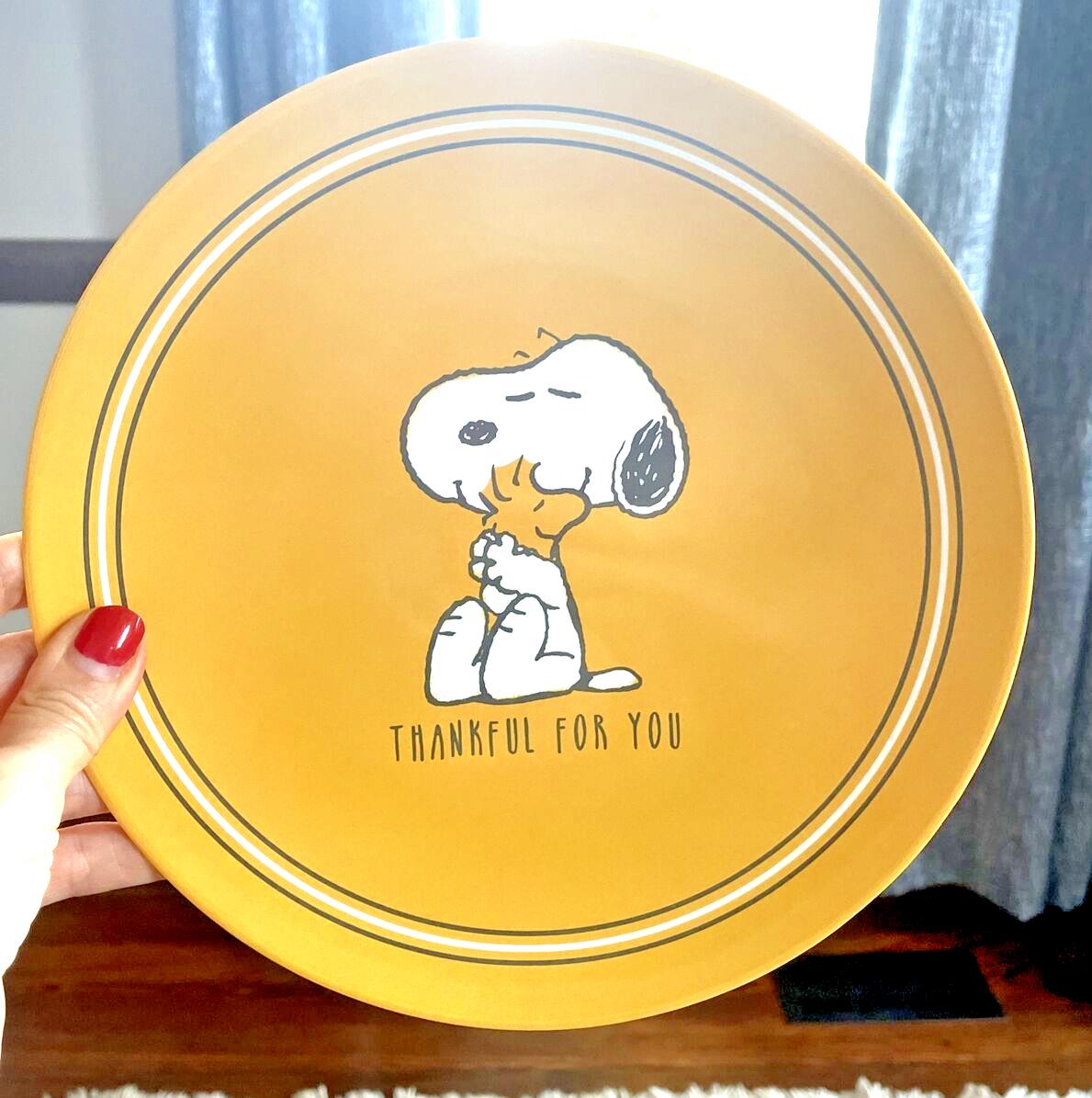 Pottery Barn Snoopy Disney Plate Holiday Thanksgiving + CUP Peanuts Dinner Kid '