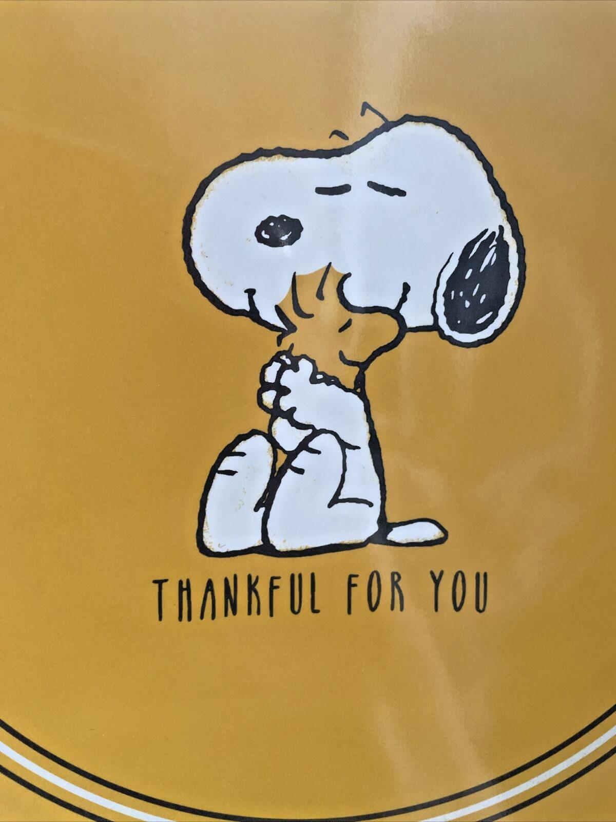 Pottery Barn Snoopy Disney Plate Holiday Thanksgiving + CUP Peanuts Dinner Kid '