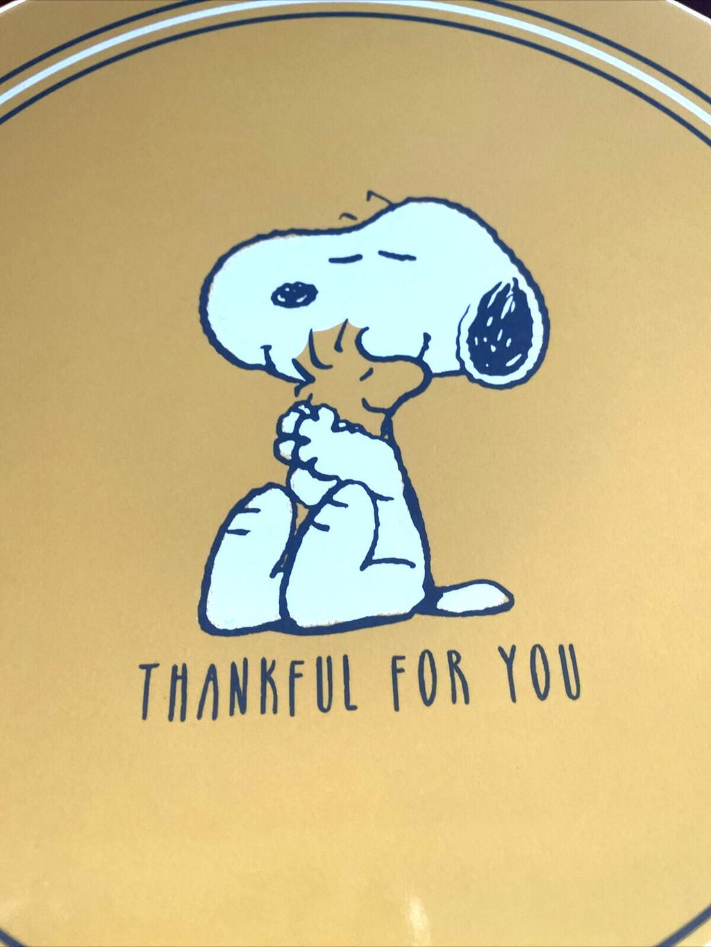 Pottery Barn Snoopy Disney Plate Holiday Thanksgiving + CUP Peanuts Dinner Kid '