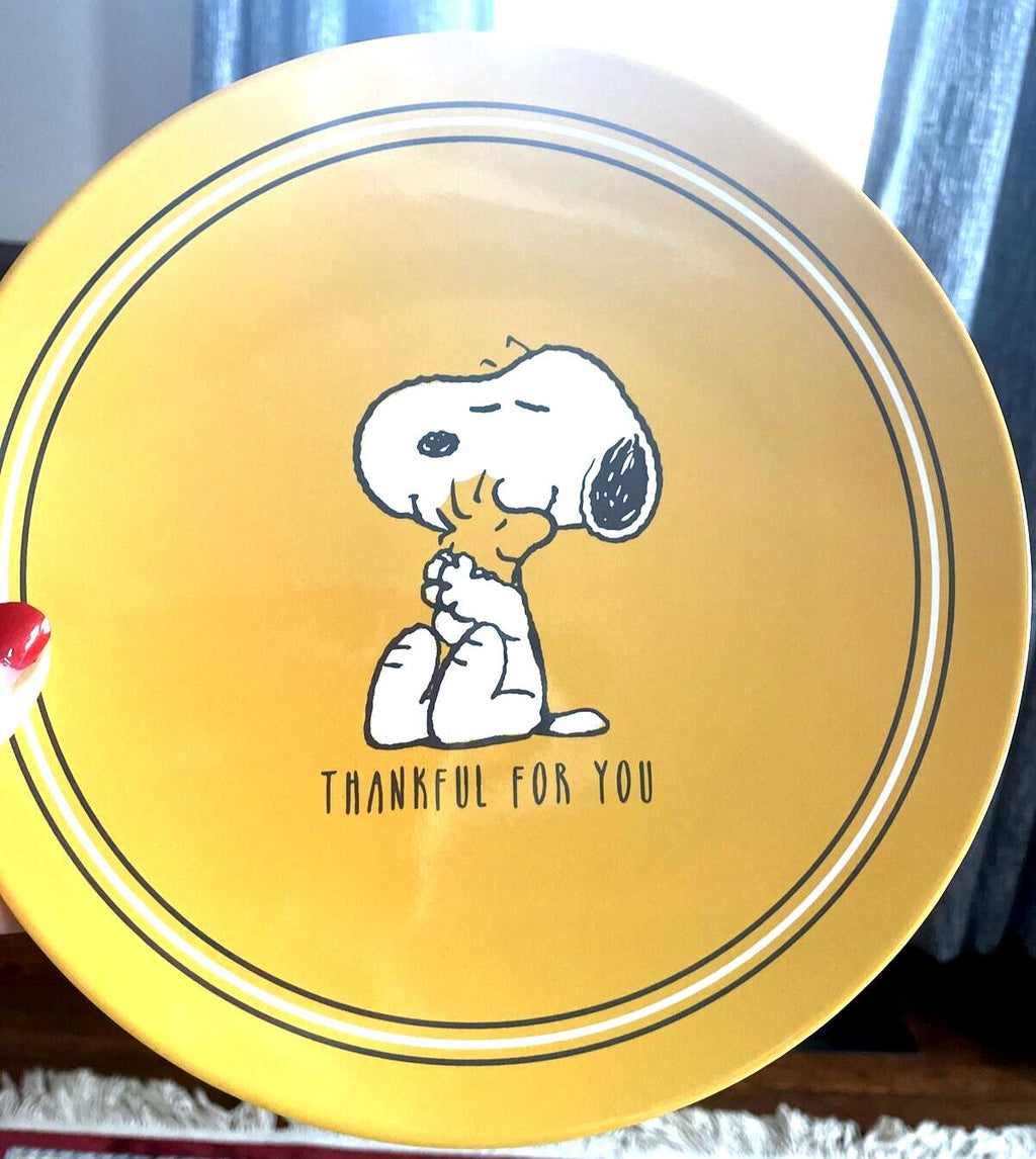 Pottery Barn Snoopy Disney Plate Holiday Thanksgiving + CUP Peanuts Dinner Kid '