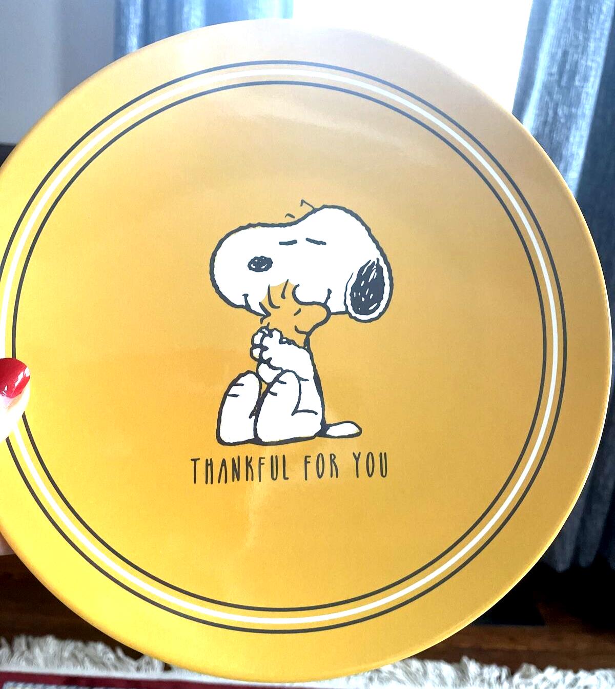 Pottery Barn Snoopy Disney Plate Holiday Thanksgiving + CUP Peanuts Dinner Kid '