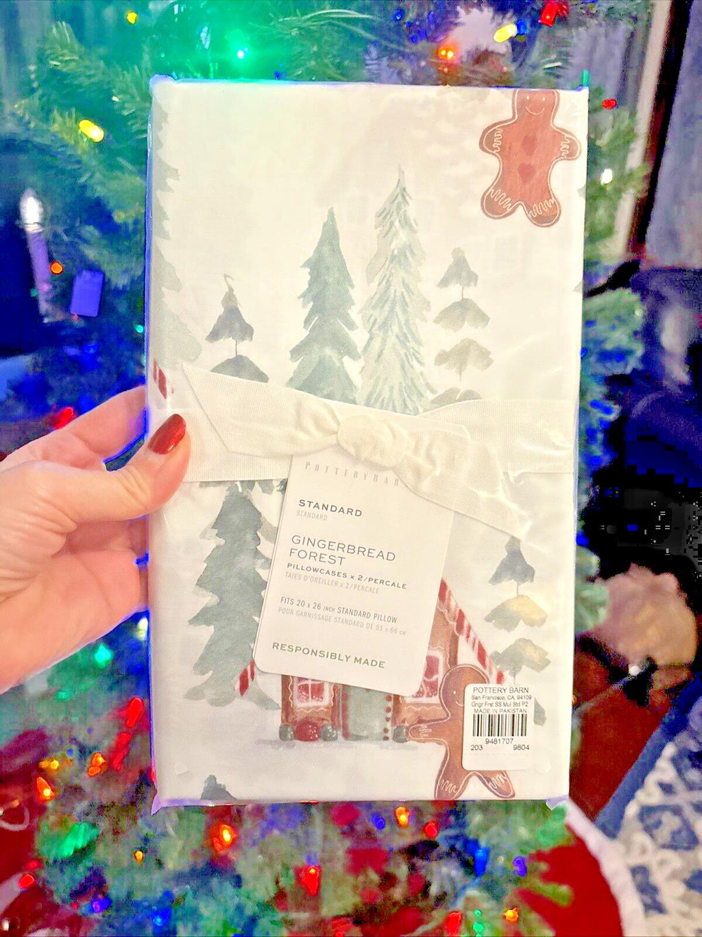 Pottery Barn Disney Holiday Gingerbread Christmas party pillowcase SET 2?? y