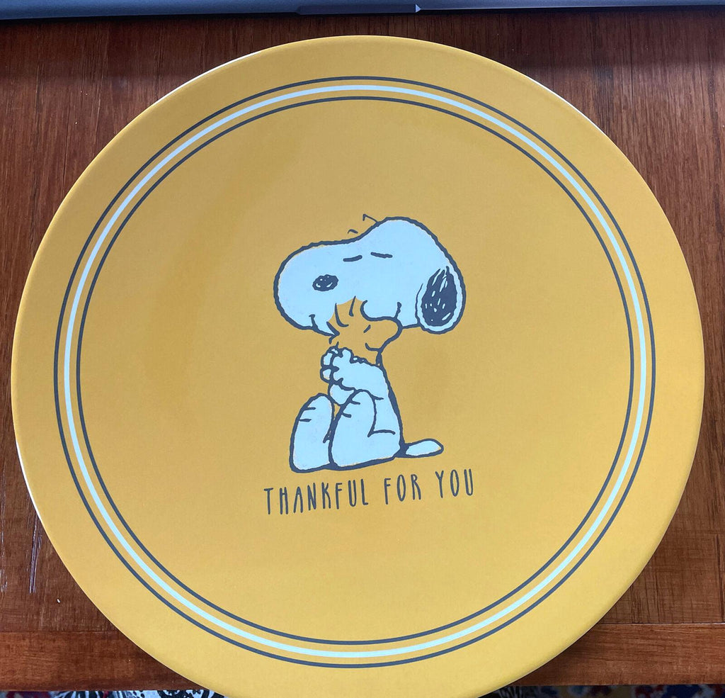 Pottery Barn Snoopy Disney Plate Holiday Thanksgiving + CUP Peanuts Dinner Kid '