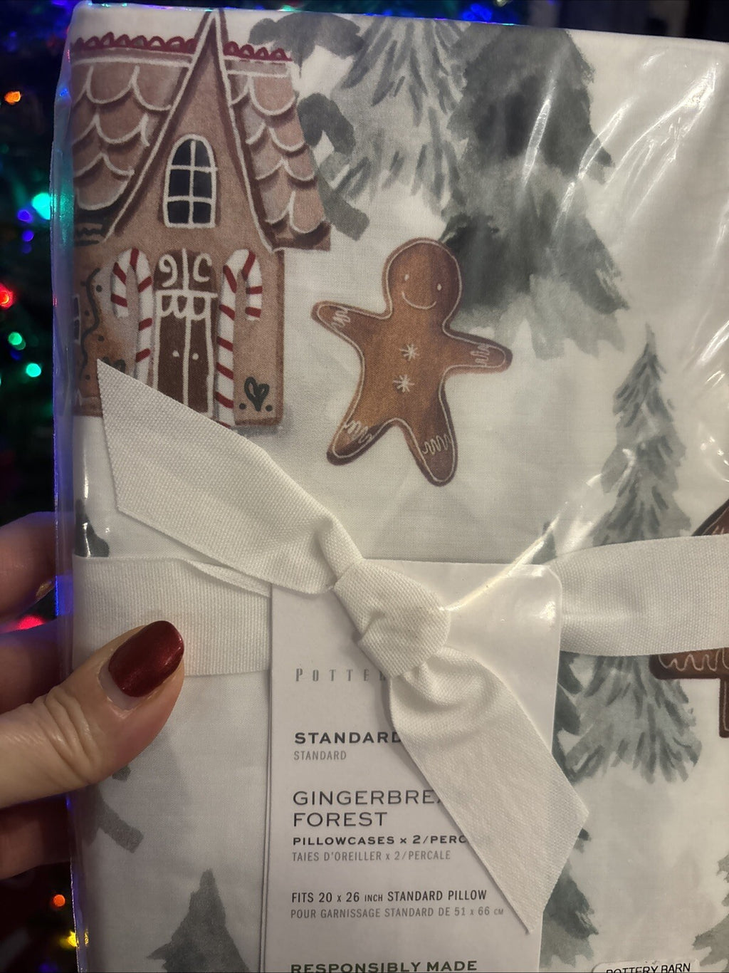 Pottery Barn Disney Holiday Gingerbread Christmas party pillowcase SET 2?? y