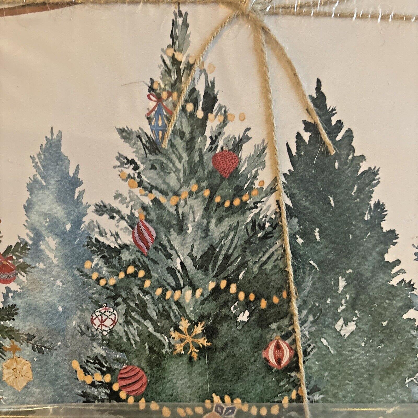 Pottery Barn Disney holiday placemat Santa Christmas Country Reindeer party SET