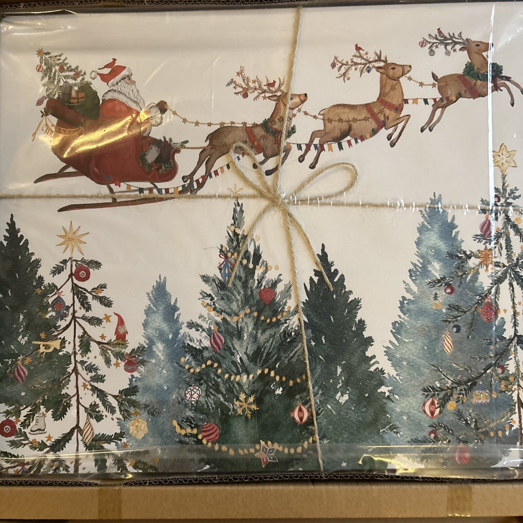 Pottery Barn Disney holiday placemat Santa Christmas Country Reindeer party SET