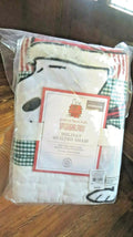 Pottery barn Peanuts Holiday Snoopy pillow SHAM Christmas gift Disney kid gift q