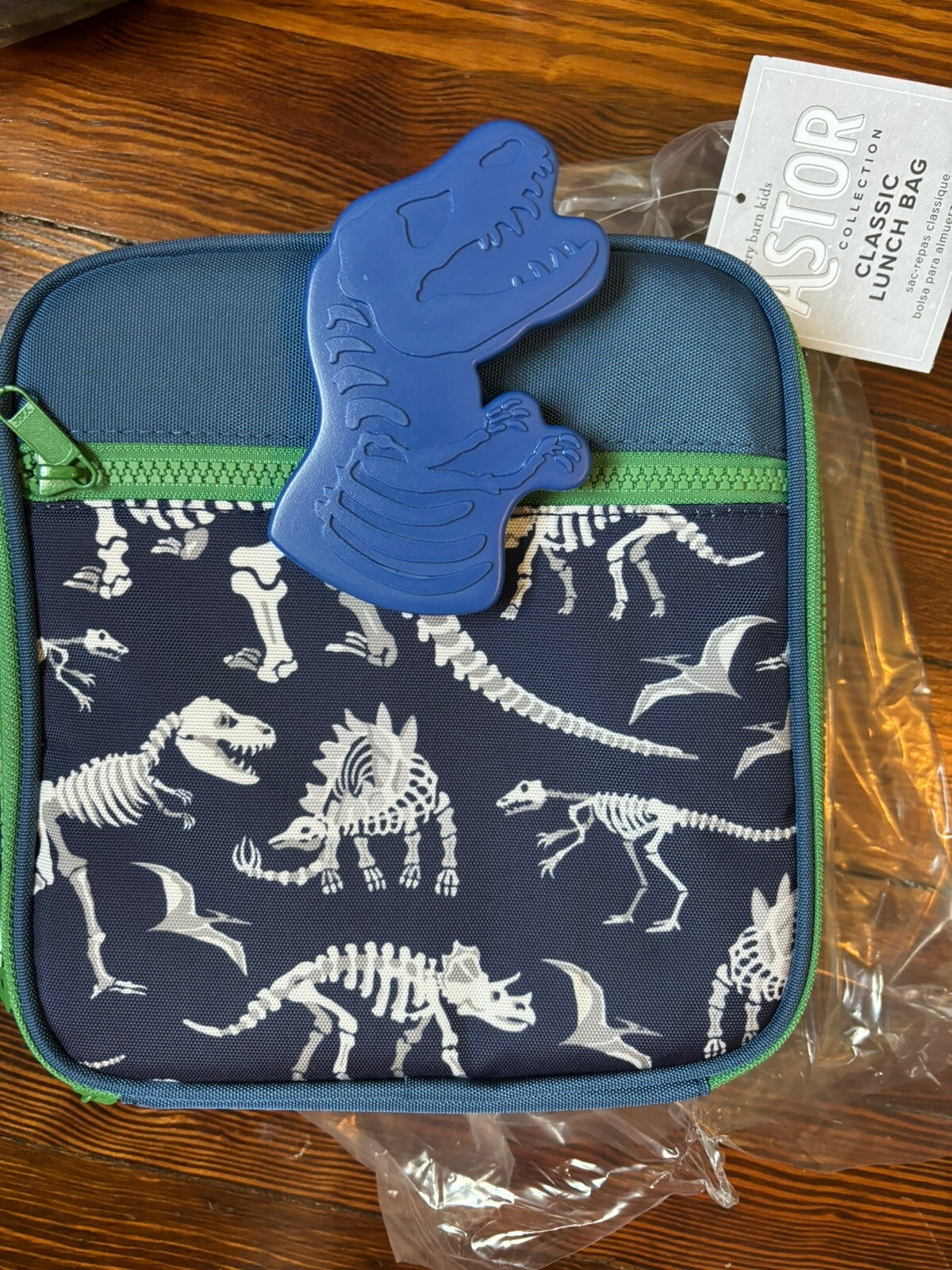 Pottery Barn LUNCH BOX BAG School+ Disney ICE boy PRE K DINO GIFT pre k .