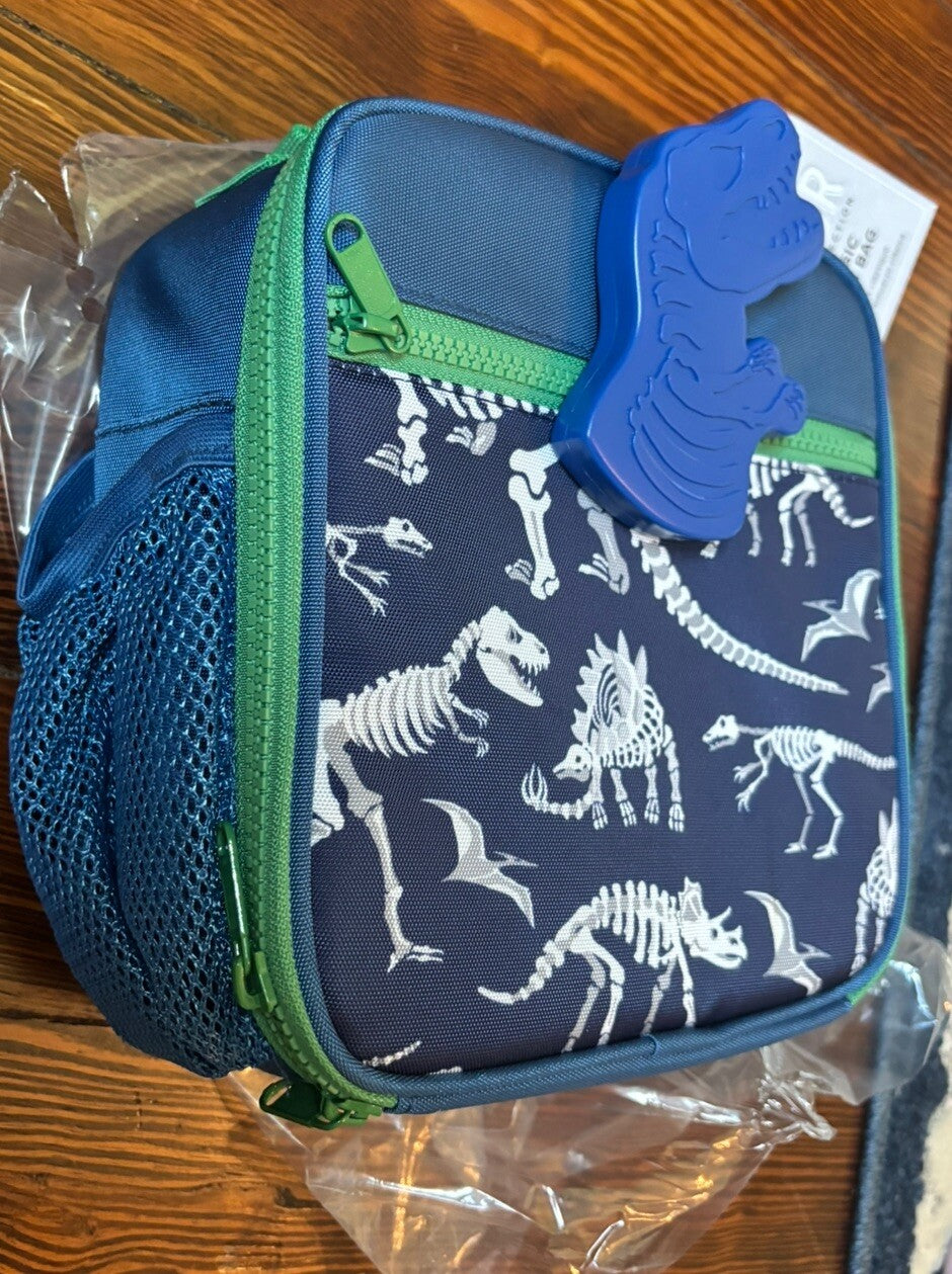 Pottery Barn LUNCH BOX BAG School+ Disney ICE boy PRE K DINO GIFT pre k .