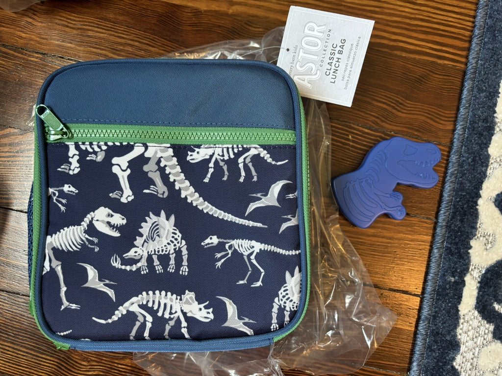 Pottery Barn LUNCH BOX BAG School+ Disney ICE boy PRE K DINO GIFT pre k .