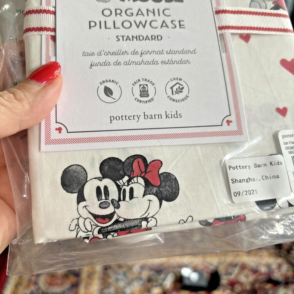 Disney Pottery Barn Mickey Minnie Mouse Peanuts Snoopy holiday Pillowcase kids y