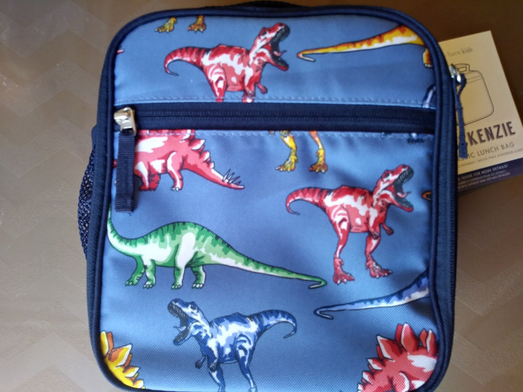School Disney Pottery barn Lunch Box Dinosaur +Bag space gift boy travel ?? ,