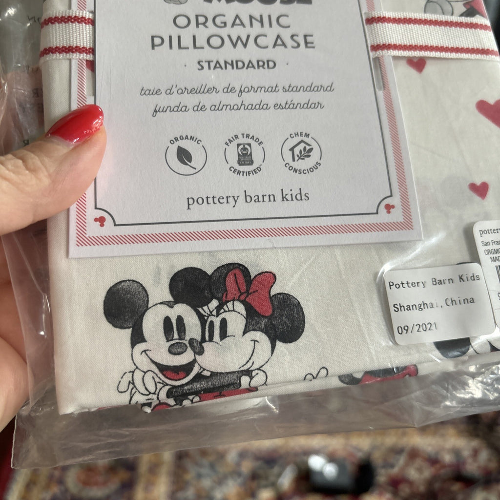 Disney Pottery Barn Mickey Minnie Mouse Peanuts Snoopy holiday Pillowcase kids y