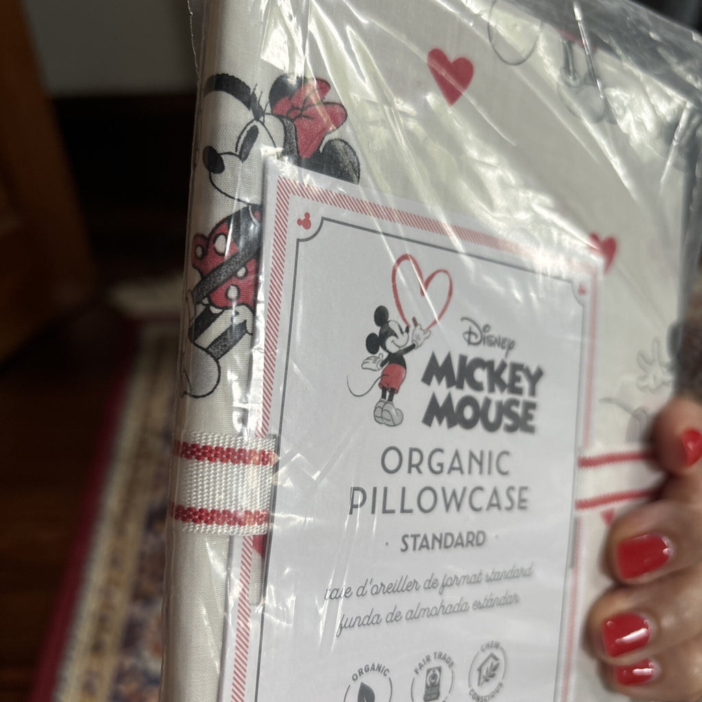 Disney Pottery Barn Mickey Minnie Mouse Peanuts Snoopy holiday Pillowcase kids y