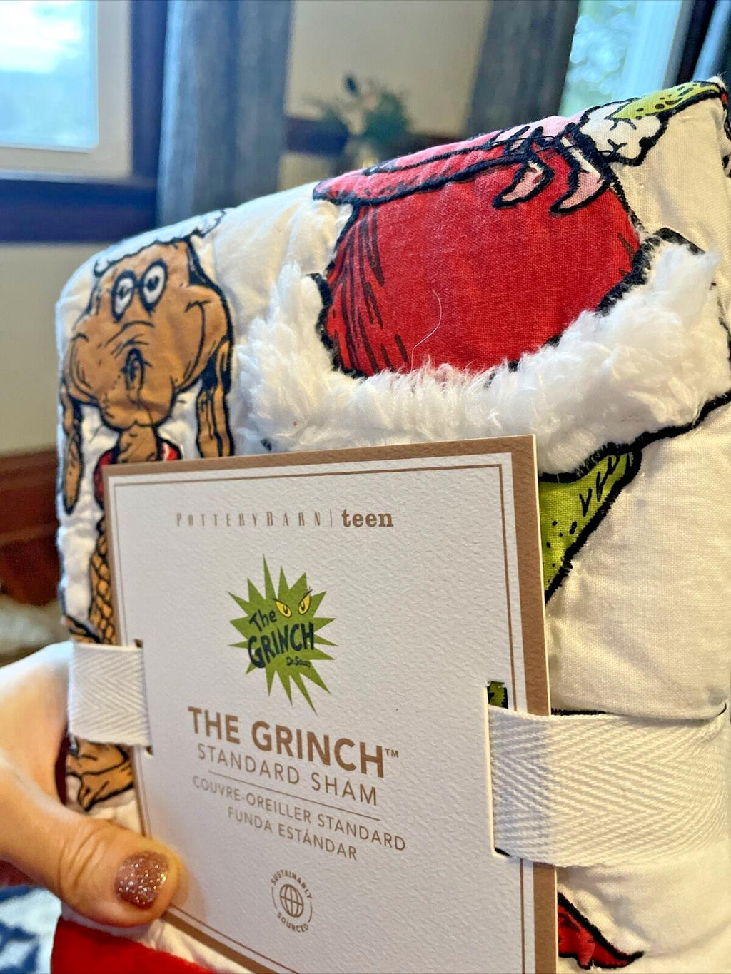 Pottery Barn Grinch Christmas pillow Sham Dr Seuss Disney Holiday party kid nn