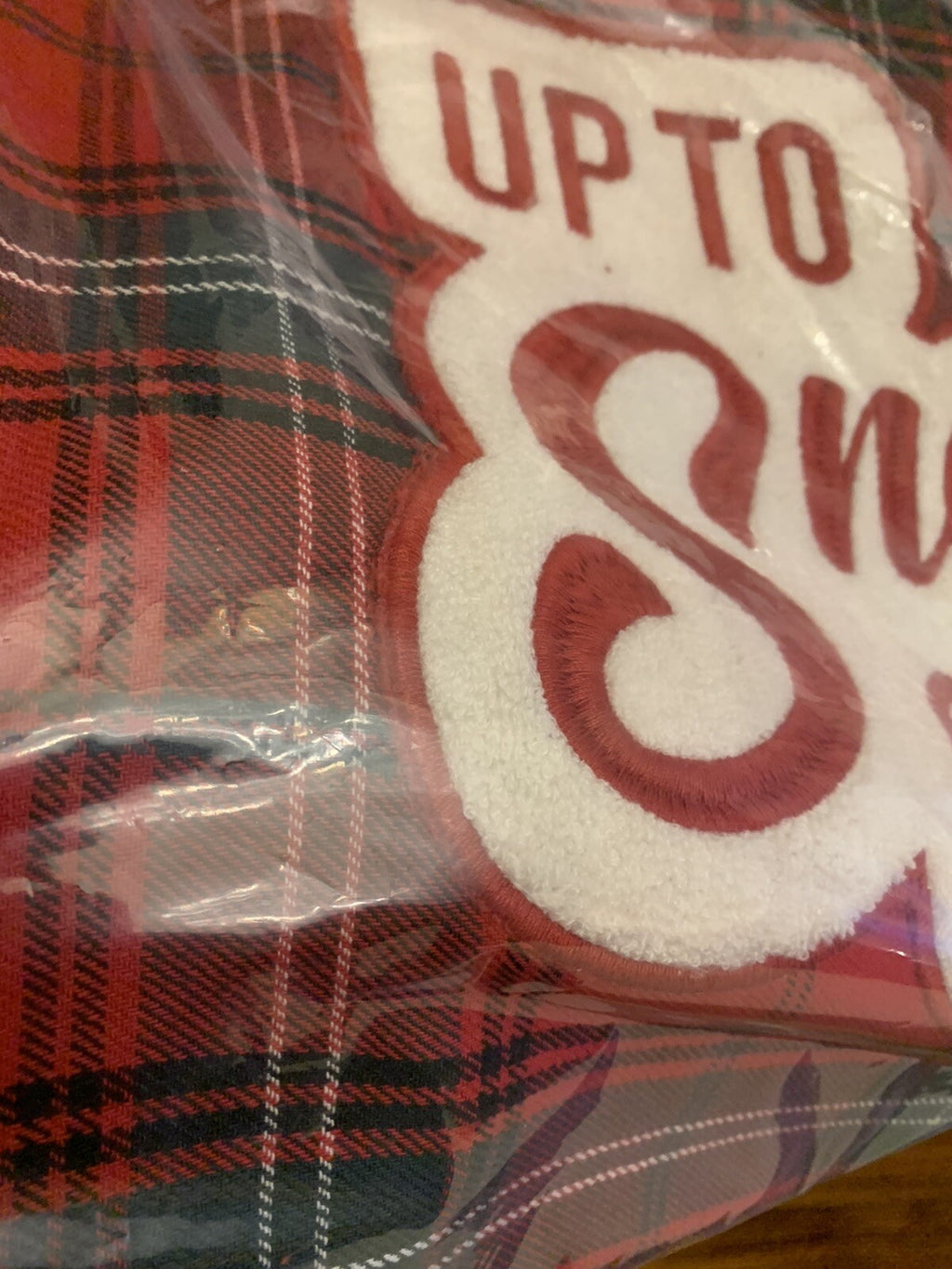 Pottery barn Plaid holiday Pillow Sham Ski lodge party gift school disney n