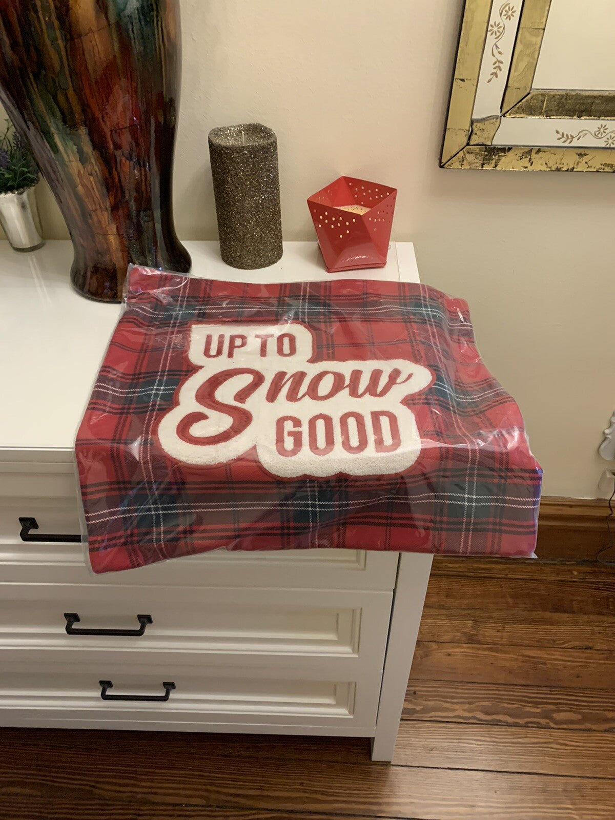 Pottery barn Plaid holiday Pillow Sham Ski lodge party gift school disney n
