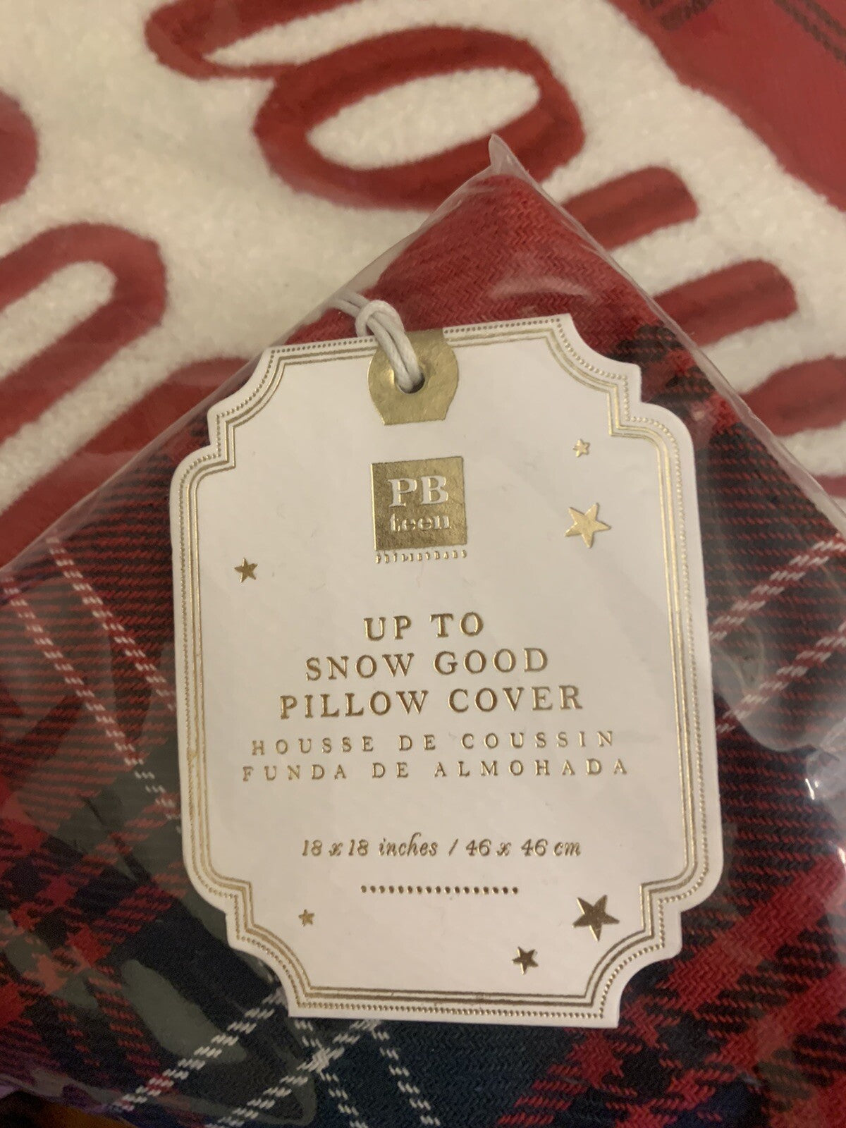 Pottery barn Plaid holiday Pillow Sham Ski lodge party gift school disney n