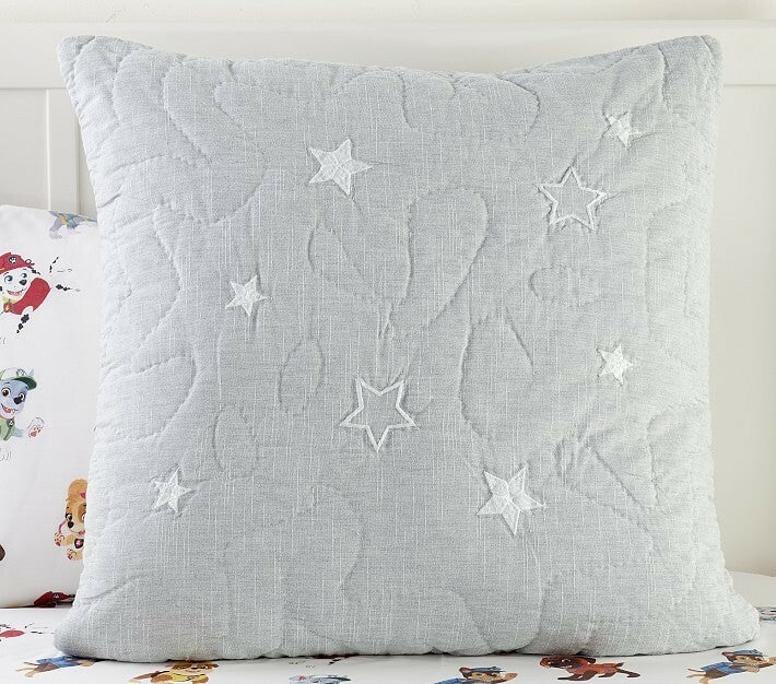 Pottery barn PILLOW Sham star space Paw Patrol school Holiday party Gift kid =