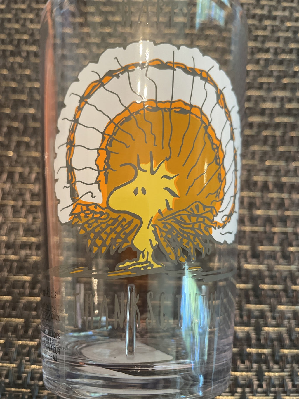 Disney Snoopy Pottery Barn peanuts Cup Holiday party Thanksgiving gift kid SET 2