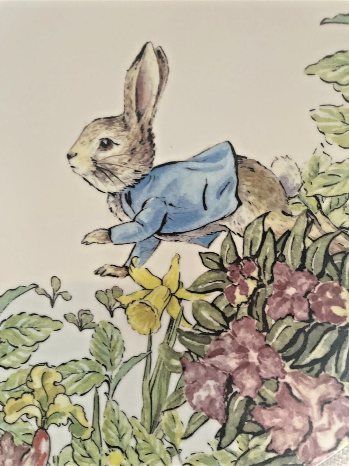 Disney Pottery Barn Peter rabbit PLATE Easter bunny gift garden holiday party 1