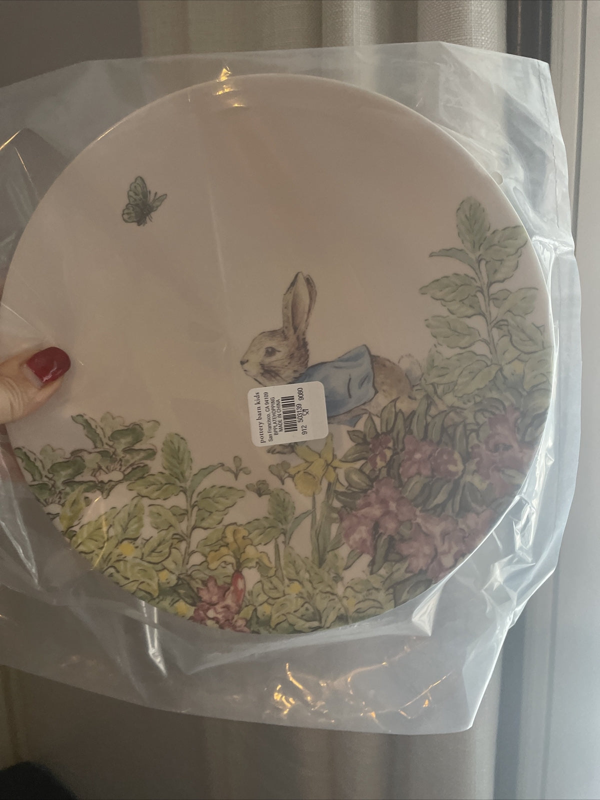 Disney Pottery Barn Peter rabbit PLATE Easter bunny gift garden holiday party 1