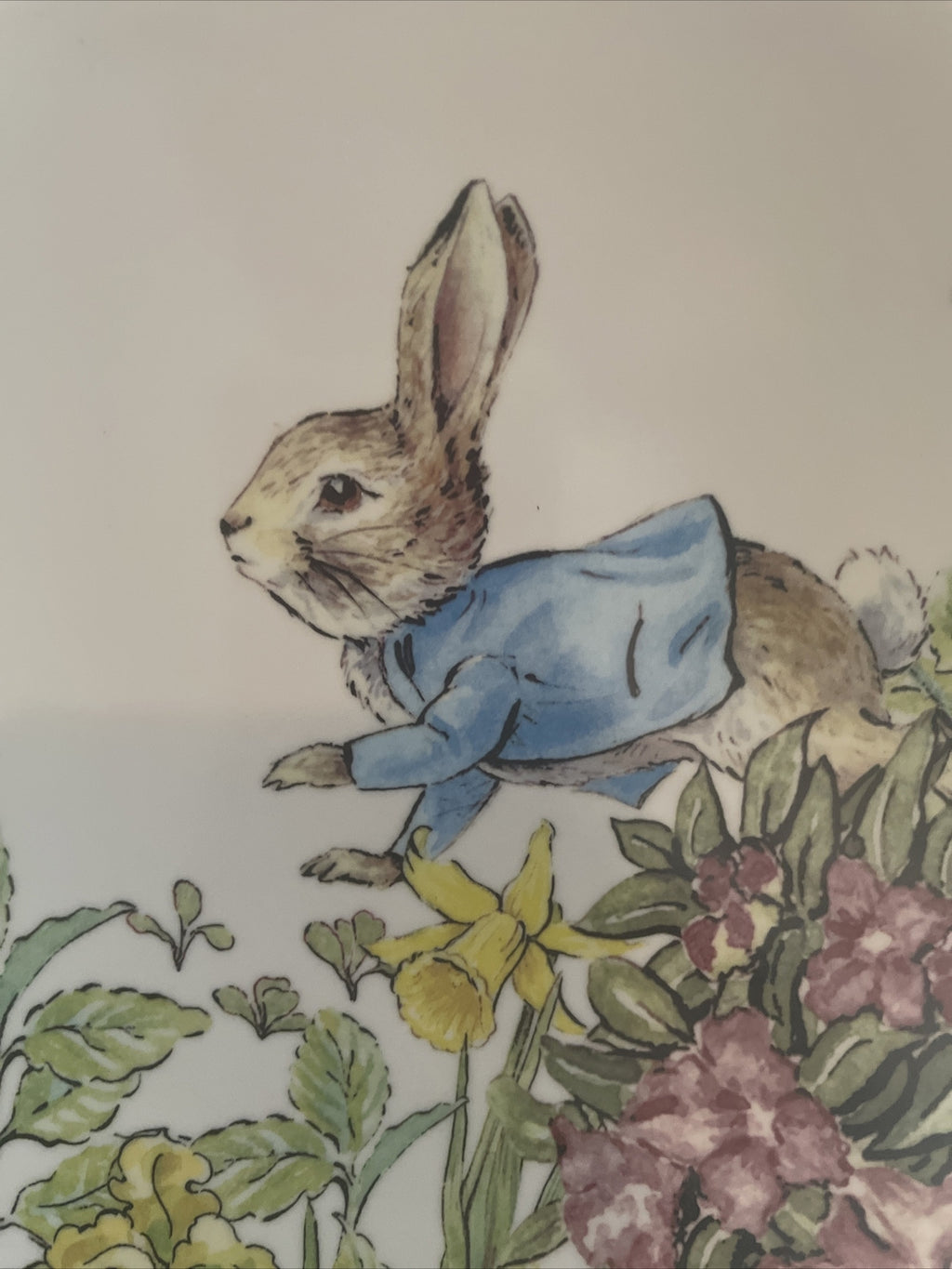 Disney Pottery Barn Peter rabbit PLATE Easter bunny gift garden holiday party 1