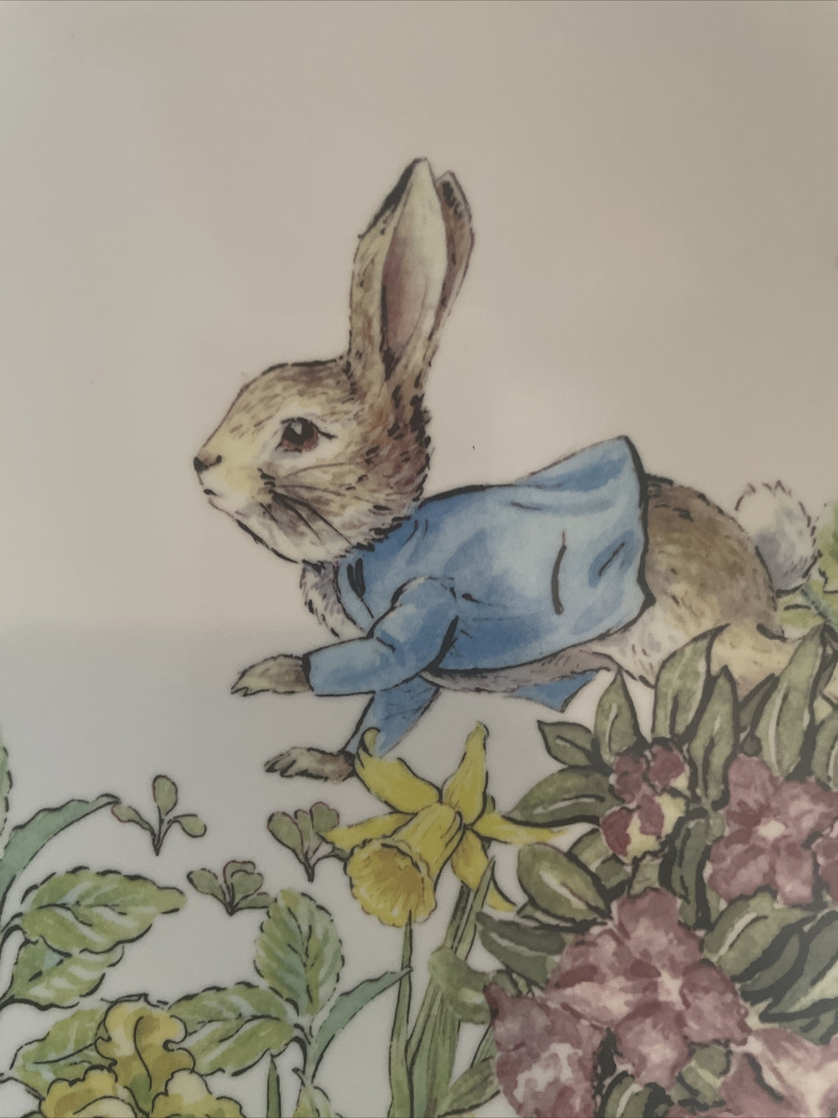 Disney Pottery Barn Peter rabbit PLATE Easter bunny gift garden holiday party 1