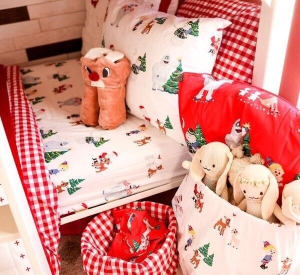 Pottery Barn GRINCH RUDOLPH Santa Christmas Seuss Holiday Gift party disney q