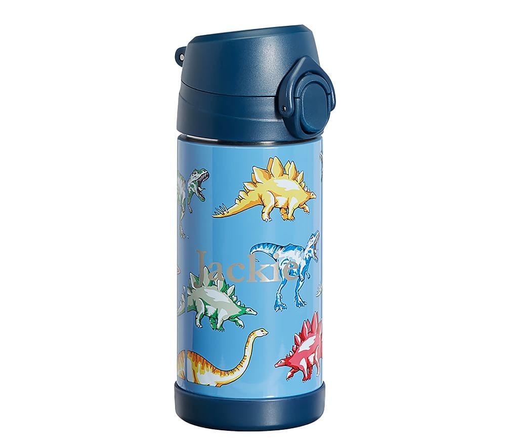 School Disney Pottery barn LUNCH Box WATER Dinosaur Bag gift boy travel  SET ??