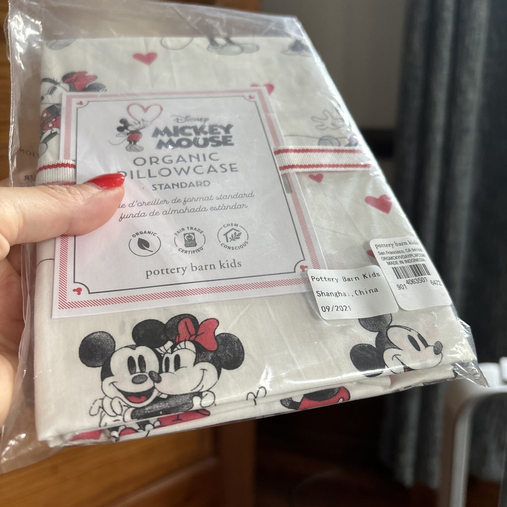 Pottery Barn holiday Disney Mickey Mouse heart rainbow Birthday Pillowcase  ?? y