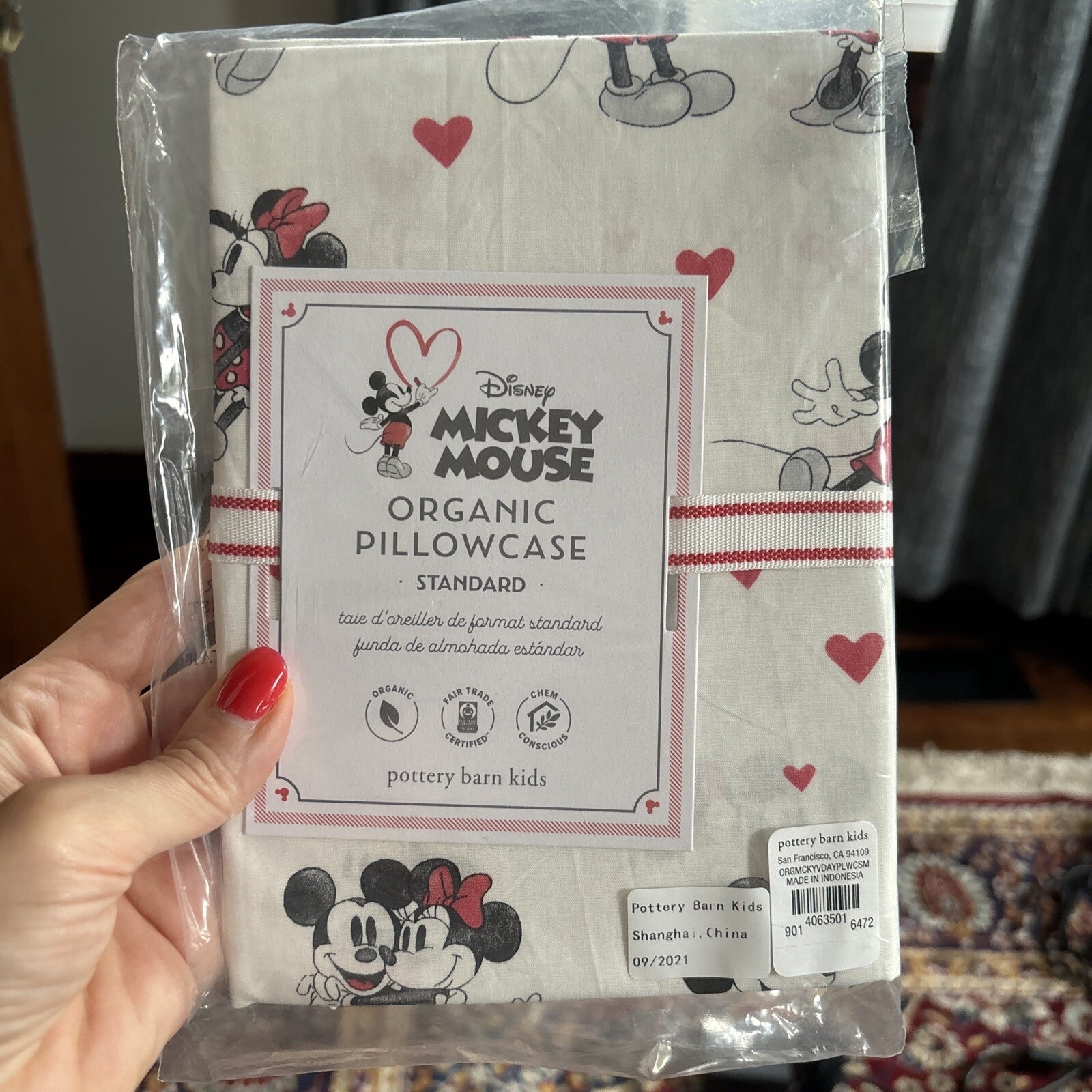 Pottery Barn holiday Disney Mickey Mouse heart rainbow Birthday Pillowcase  ?? y