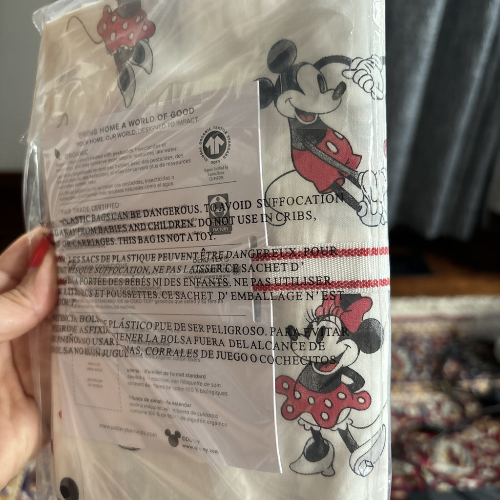 Pottery Barn holiday Disney Mickey Mouse heart rainbow Birthday Pillowcase  ?? y