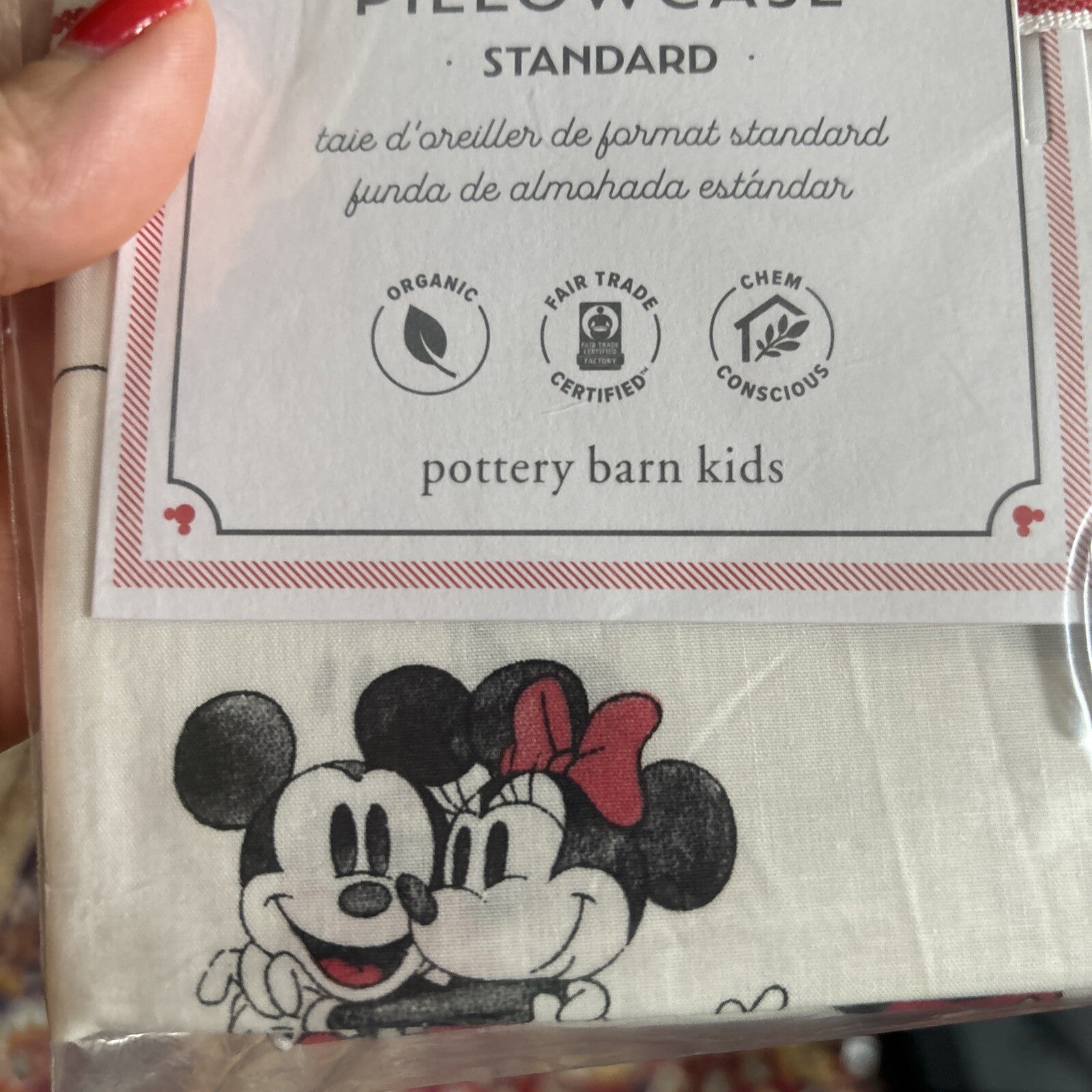 Pottery Barn holiday Disney Mickey Mouse heart rainbow Birthday Pillowcase  ?? y