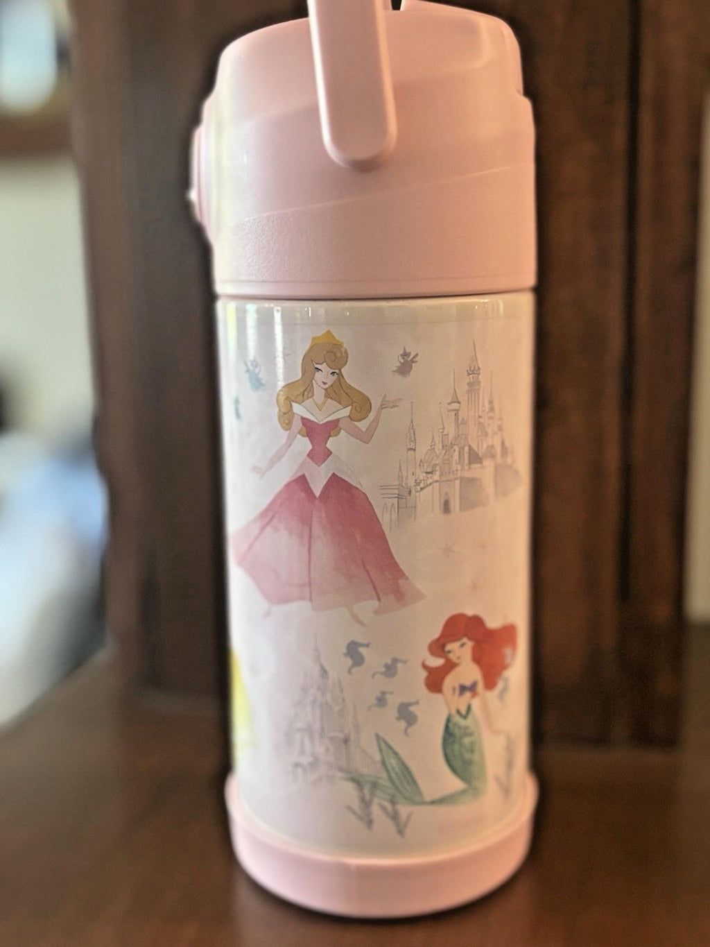 Pottery barn school princess Belle WATER Bottle Disney travel girl PINK pre k