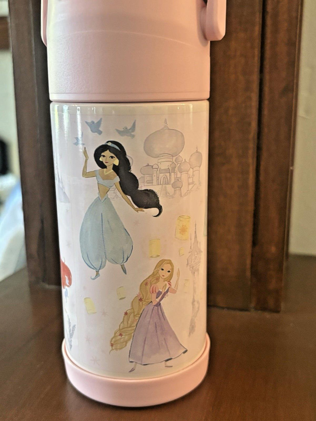 Pottery barn school princess Belle WATER Bottle Disney travel girl PINK pre k