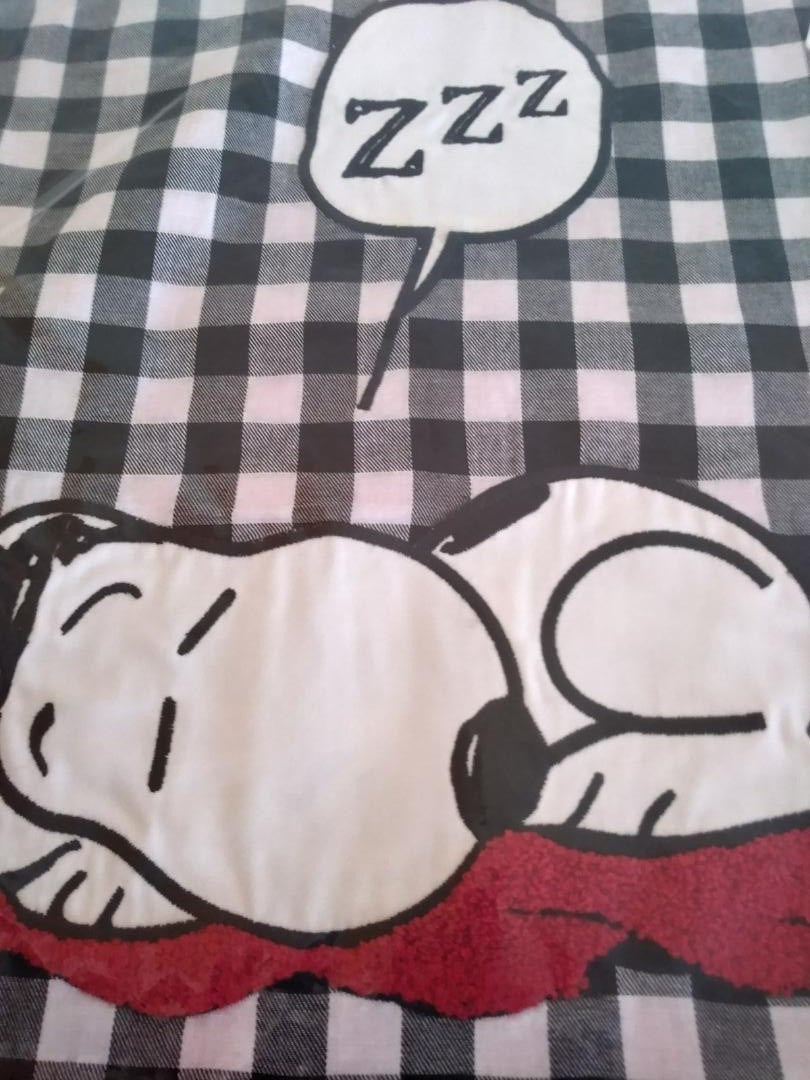 Pottery Barn Snoopy Disney Peanuts pillow Sham plaid kids dog holiday gift 1