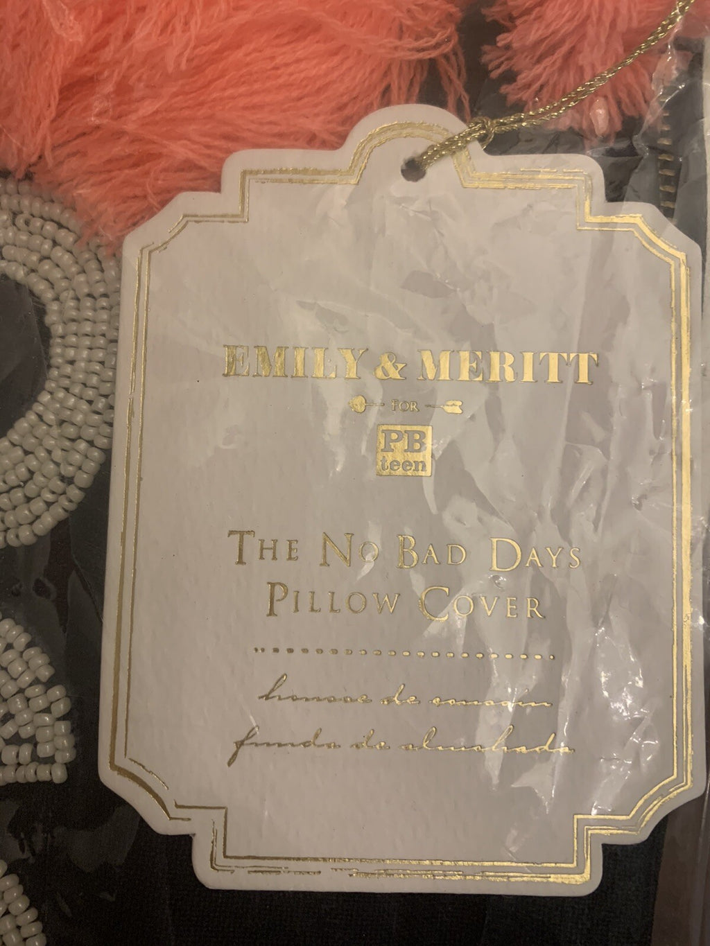 Pottery Barn pillow cover Emily Meritt No Bad Day college dorm gift 16x12 sham '