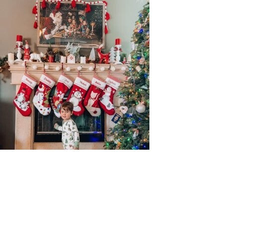 Pottery Barn Holiday Christmas stocking Penguin gift party school red Disney '