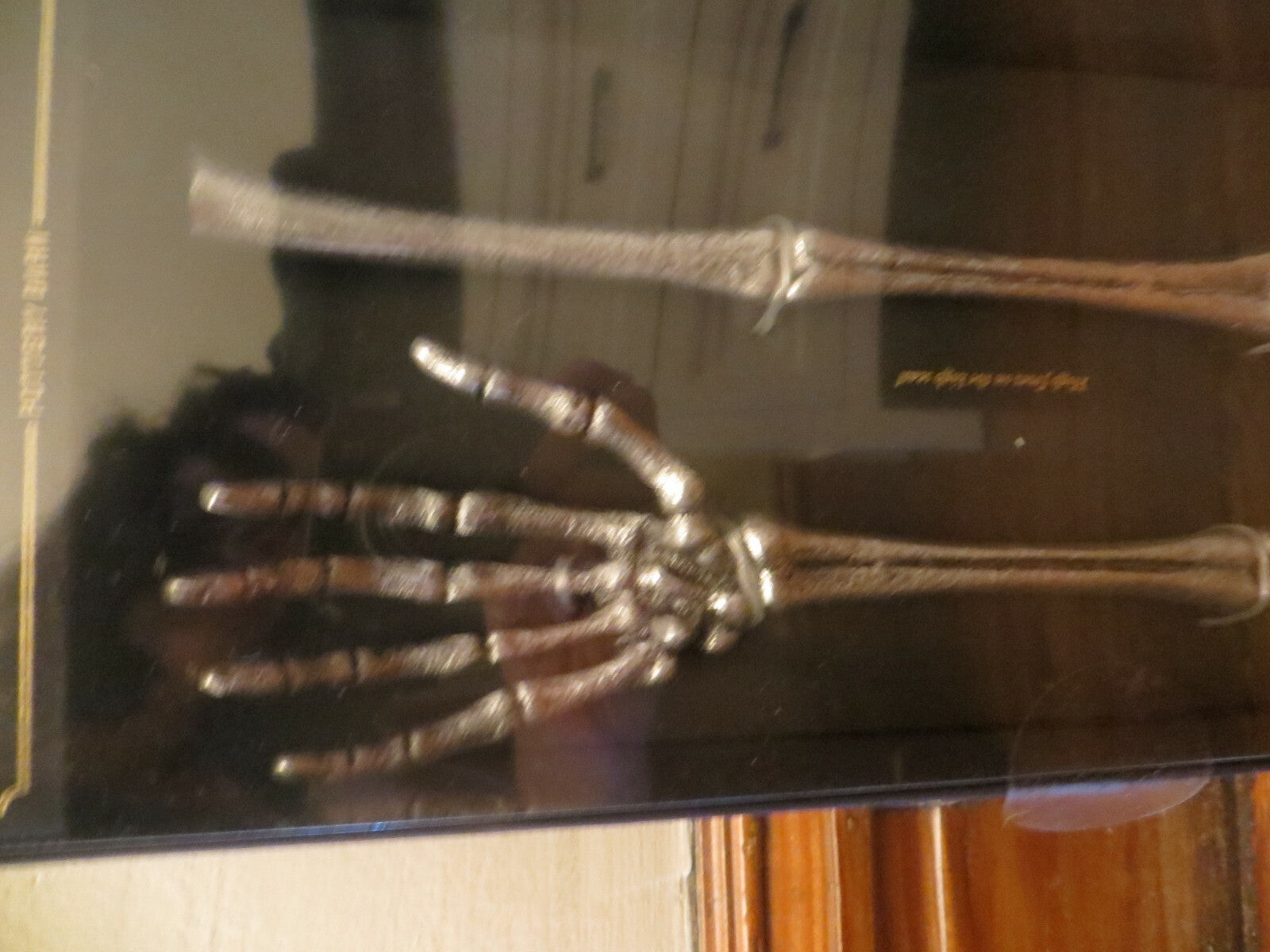 Pottery Barn Skeleton serving set Bones Halloween Party school gift holiday j