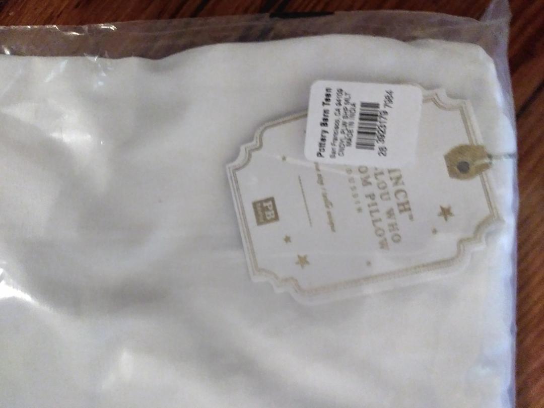 Snoopy Disney Pottery barn holiday Sham peanuts pillow cover gift kid party 1