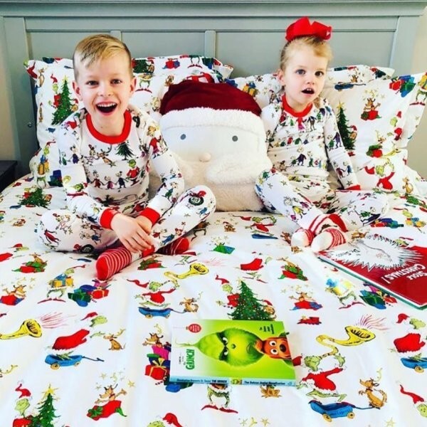 Pottery Barn Grinch Max Holiday Dr Seuss Christmas Gift dog Kids Pillowcase y