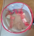 School Pottery barn Disney Baseball Backpack Pre k sport MLB  party gift .