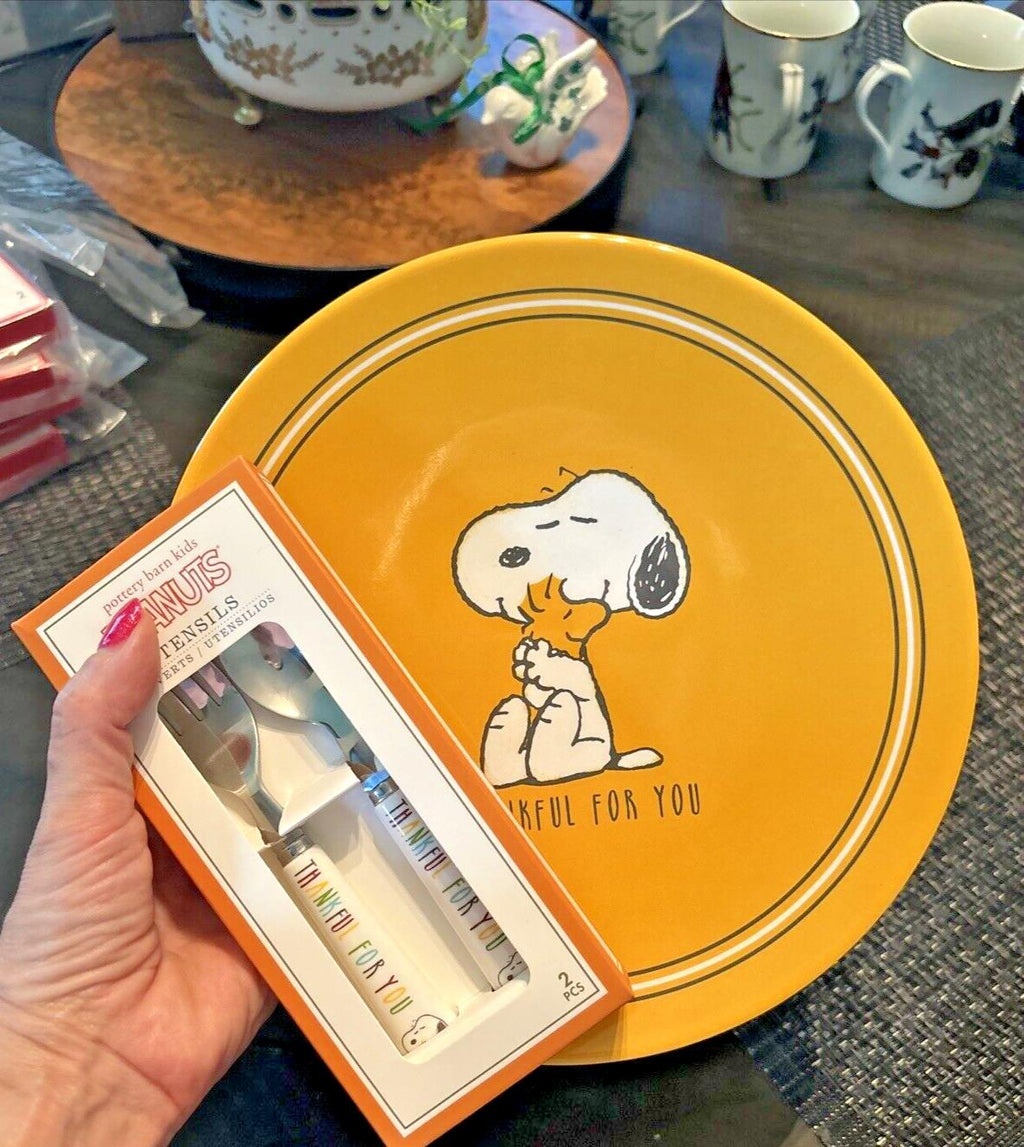 Snoopy Pottery Barn disney peanuts Holiday SET Thanksgiving party gift dinner -